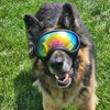 Large Dog Sunglasses with Adjustable Strap UV Protection, Winproof, Suitable