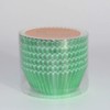 Huaswan Bold Green Foil Cupcake Liners Standard Paper Baking Cups