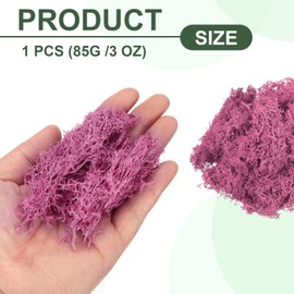MECCANIXITY 3oz Preserved Reindeer Moss, Rose Pink Decorative Artificial Fake Moss for Potted Plants Indoor Crafts Lichen Centerpieces Decor