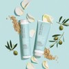 Paul Mitchell Clean Beauty Hydrate Shampoo, Repone la Hidratación del