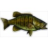 Localwaters THE RIVER SMALLMOUTH BASS DECAL CLEAR VINYL UV COATED
