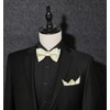 HISDERN Champagne Bow Ties for Men Bow Tie Self Tie