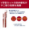 Lark Toothbrushes Regular