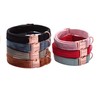 ARING PET Dog Collar and Leash, Velvet Dog Collar and