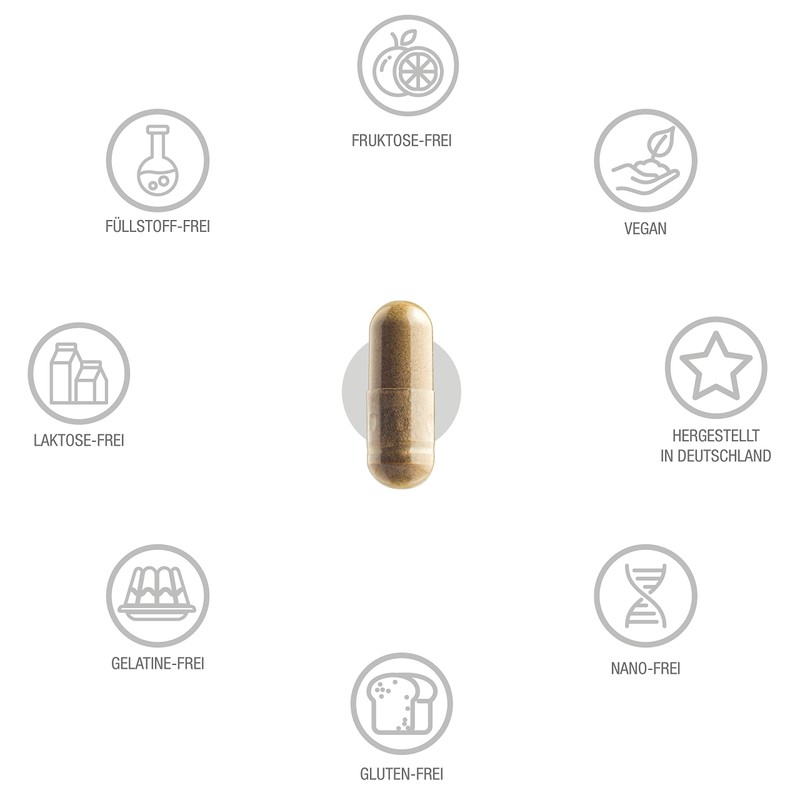 Vitabay Blood Nutrient Complex • 90 Vegan Capsules • Nutrients
