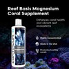 Continuum Aquatics Reef Basis Magnesium – Marine Aquarium Supplement for
