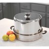Kitchen Crop Steam Canner with Temperature Indicator (Stainless Steel Steam