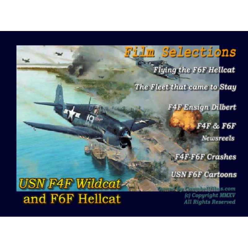 Navy Grumman F4F Wildcat and F6F Hellcat USN WW2 Zero