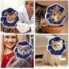 Maiiu Soft Adjustable Cat Cone Collar - Comfortable Recovery Collar