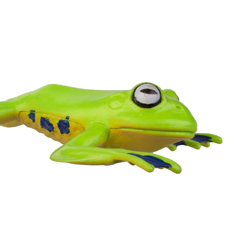 Flying Tree Frog