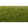 Woodland Scenics 7mm Static Grass Dark Green