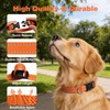Dog Shock Collar Replacement Strap, Compatible with Peture Jugbow Bousnic