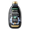 Garnier Botanic Therapy Magnetic Charcoal & Black Seed Oil, 400ml