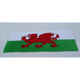 TamersGifts WELSH DRAGON FLAG BEACH VELOUR BEACH TOWEL WALES CYMRU 75 x150cm (30"x 59")