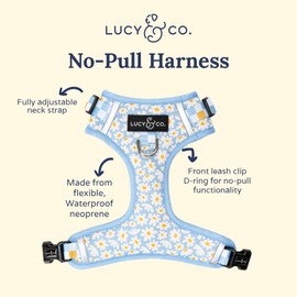 Lucy & Co. The Simply Splendid No-Pull Dog Harness – Size X-Small – Vest to Stop Pulling & Walk Easy – Comfortable Leash Training Product w/ Adjustable Chest & Neck Straps