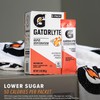 Gatorlyte Gatorlyte Rapid Rehydration Electrolyte Beverage, Variety Pack, Lower Sugar,