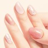 Germy Petary 2025 Spring Classic Colors, 12 Pixie Dust, Gel