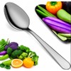 Maestro Craft Pack of 12 Pieces Stainless Steel Dinner Soup