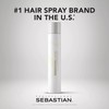 Sebastian Shaper Brushable Hairspray 10.6oz (4pack)