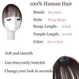 Bangs Hair Clip in Bangs 100% Real Human Hair Extensions Wispy Bangs French Bangs Clip on Air Bangs for Women (A-Brown Black, Wispy Bangs)