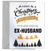 Merry Christmas Card To A Very Special Ex-husband - Xmas