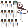 Beauty PLAYER Water Supply Cap, Plants, Set of 12, Japanese