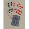 Bicycle Six Handed 500 Card Deck