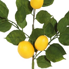 Vickerman 5' Everyday Artificial Green and Yellow Lemon Garland - Faux Fruit and Greenery Garland - Indoor - for Home or Office Decor - Maintenace Free - Elegant Lemon Decoration