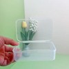 Farmer Mani 12 pcs Clear Plastic Box Containers (4.65" x