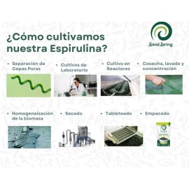 Alga Spirulina Orgánica Máxima Espirulina Natural 500 Table.