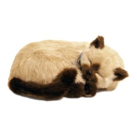 Perfect Petzzz ® The Original Breathing Pet Siamese Kitten New Huggable Soft Version Plush Toy Gift Bundle