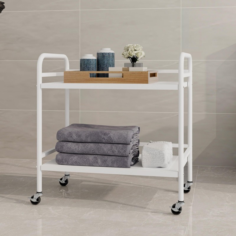 HDANI 2 Tier Under Desk Printer Stand with Storage,Microwave Storage