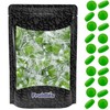 Fruidles Sugar-Free Premium Hard Candy Suckers, Mini Fruit Button Candies,