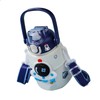 Insulated Big Belly Water Bottle 316 Stainless Steel Astronaut Patterned