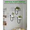 Wall Planters for Indoor Plants, Mounted Holder Shelf 3 Pack,