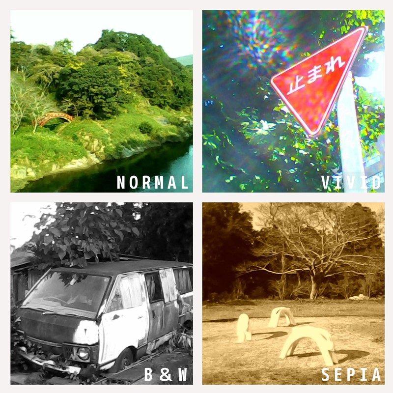 BONZART Lit+ Digital Camera, 300,000 Pixel, Rear LED display, Voice