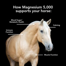 MVP Magnesium 5,000 (50lb Bag) Calming/Metabolism/Muscle Function Support for Horses