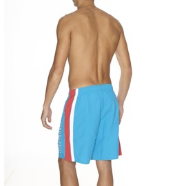 arena Fundamentals Panels Men's Swimming Shorts