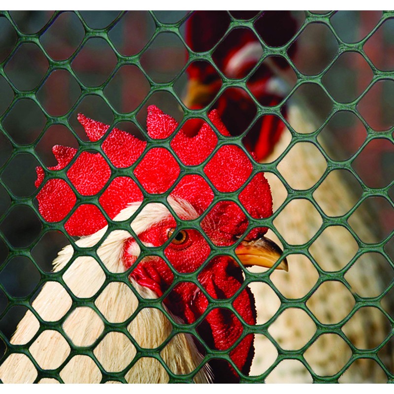 Tenax 72120348 Poultry Fence, 4' x 50', Green