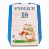 Endlich 18 Parking Discs with Lucky Pig Gift for 18th
