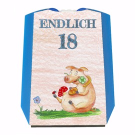 Endlich 18 Parking Discs with Lucky Pig Gift for 18th Birthday Own Car Friends Over 18 Adults Practical with Ice Scraper and Water Scraper Party Gift