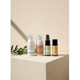 [TYPE2]Travel cosmetics pouchPortable travel kit - 4 basic types (cleansing foam, toner, lotion, shampoo) / [TYPE2]여행용 화장품 파우치휴대용 트래블키트 - 기본 4종(클렌징폼,스킨,로션,샴푸)