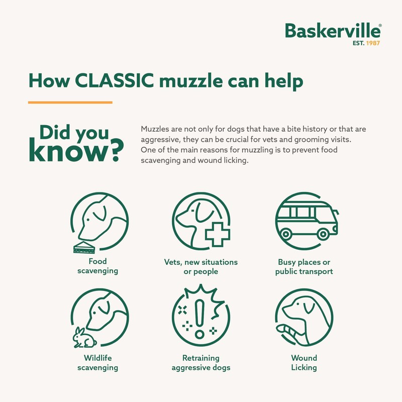 Baskerville Classic Basket Muzzle - Dog can Pant and Drink,