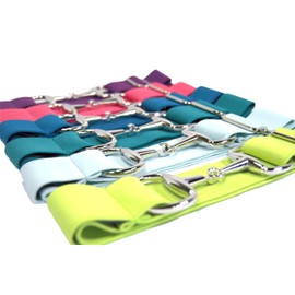 CELAEQ 1.5 inch Elastic Equestrian Belt, Horse Riding Belt with Silver Buckle, Belt for Riding Breeches Women's (Light Aqua)