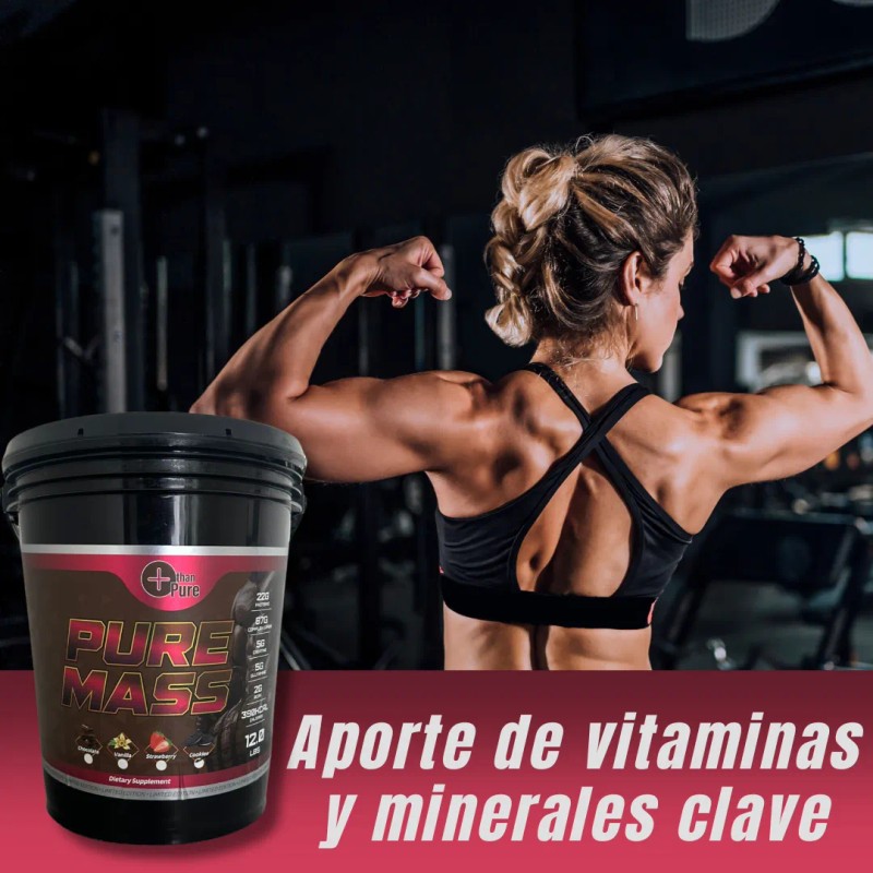 Pure Mas | 5.4 Kg | Ganador De Masa Muscular