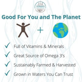 Ocean’s Balance Organic Kombu Flakes - Maine Coast Seaweed - Atlantic Ocean Sea Vegetables, Perfect for Keto Diet, Paleo Diet, Vegetarian Lifestyle or Vegan Diet - Gluten Free - 16oz Bag