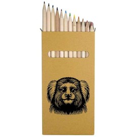 Azeeda 12 x 'Marmoset Monkey' Long 178mm Coloured Pencils/Pencil Set (PE00076959)