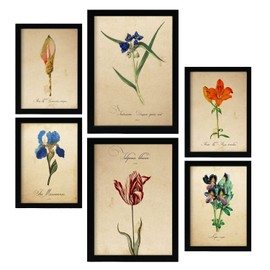 Nacnic Blue Flowers Posters. Full Colour Nature and Botany Prints with Floral Themes in Vintage Paper Style. Aesthetic Illustrations for Interior Design and Decoration. A4 & A3.