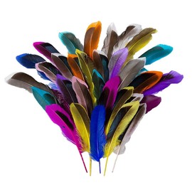 50 Pcs Colourful Feather for Crafts Feathers Natural Goose Feathers for DIY Dream Catcher Carnival Decorations hat vase mask Headpiece Feathers, School Crafts ﻿