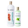 Kit Keratina Marroquí Silver 1l, Shampoo Lp 500 Ml